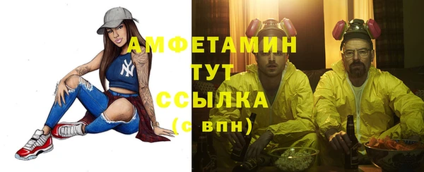 гидра Новодвинск