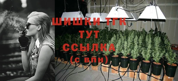 гидра Новодвинск