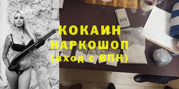 гидра Новодвинск