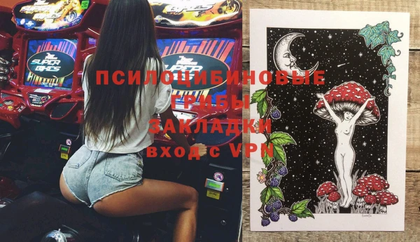 гидра Новодвинск