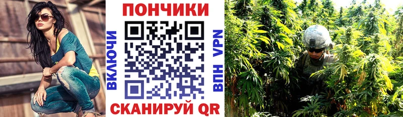 Купить  Саянск  Канабис индика 